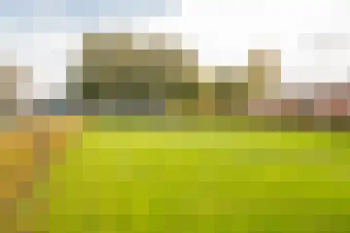 Boterbloem 5 Nijkerk thumbnail 45