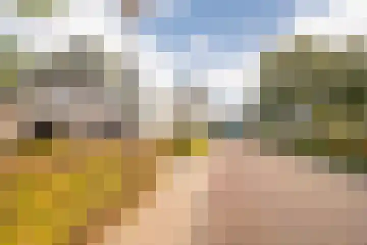 Boterbloem 5 Nijkerk thumbnail 5