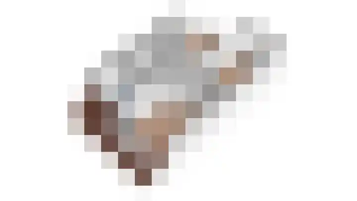 Boterbloem 5 Nijkerk thumbnail 50