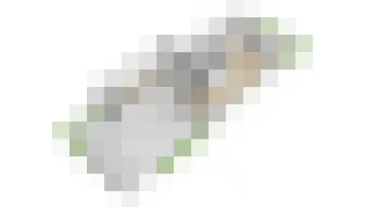Boterbloem 5 Nijkerk thumbnail 56