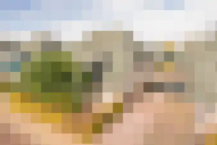 Boterbloem 5 Nijkerk thumbnail 7