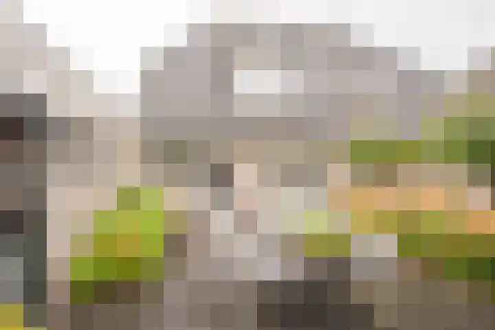Boterbloem 5 Nijkerk thumbnail 8