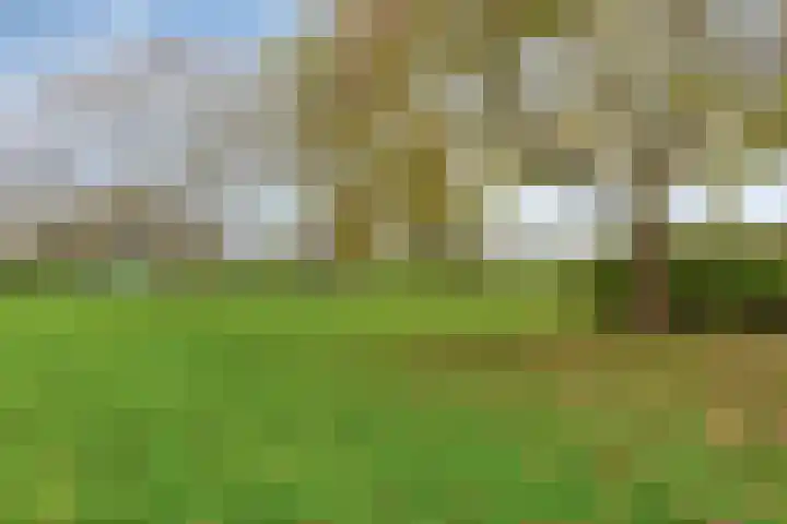 Boterbloem 53 Uithoorn thumbnail 15
