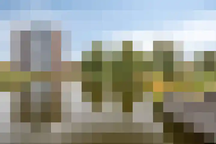 Boterbloem 53 Uithoorn thumbnail 16