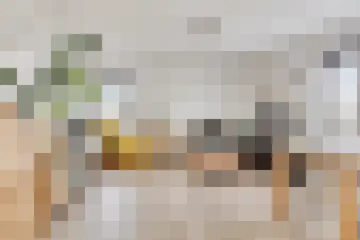 Boterbloem 53 Uithoorn thumbnail 4