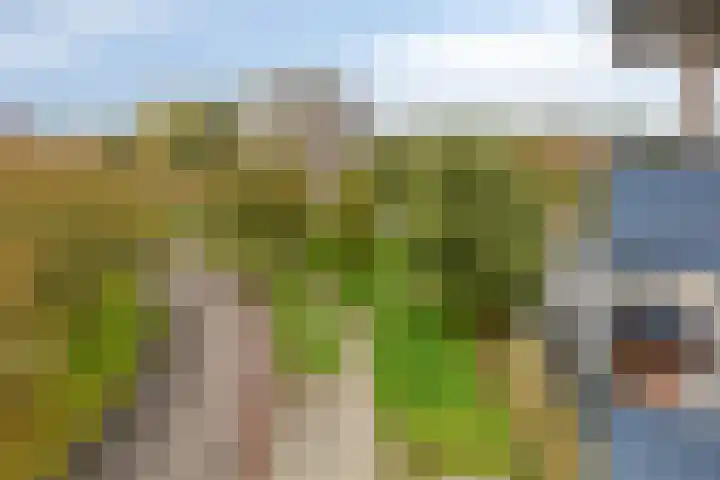 Boterbloem 53 Uithoorn thumbnail 9