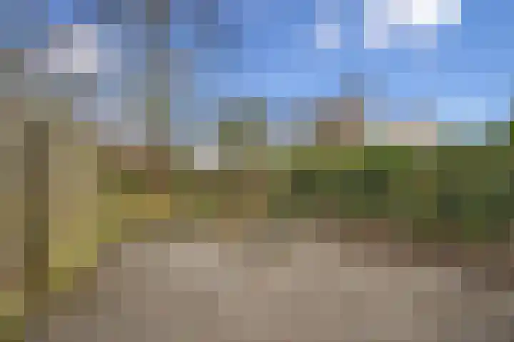 Boterbloem 55 Purmerend thumbnail 27