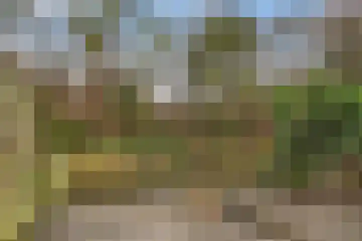 Boterbloem 55 Purmerend thumbnail 28