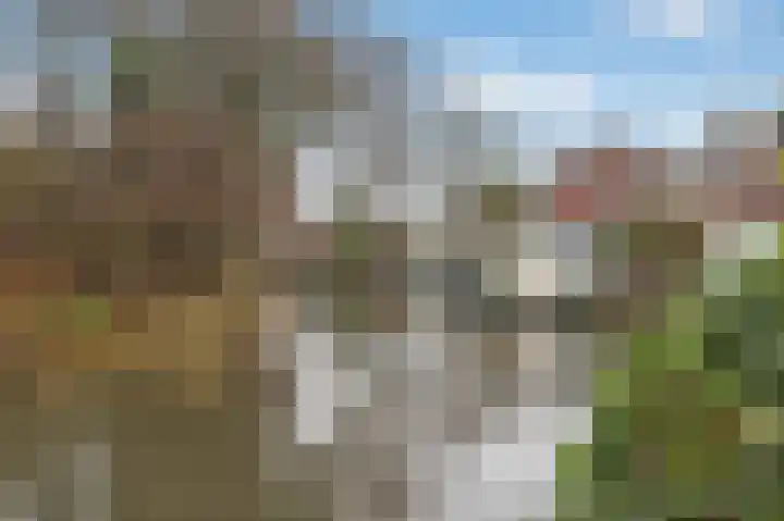 Boterbloem 55 Purmerend thumbnail 29
