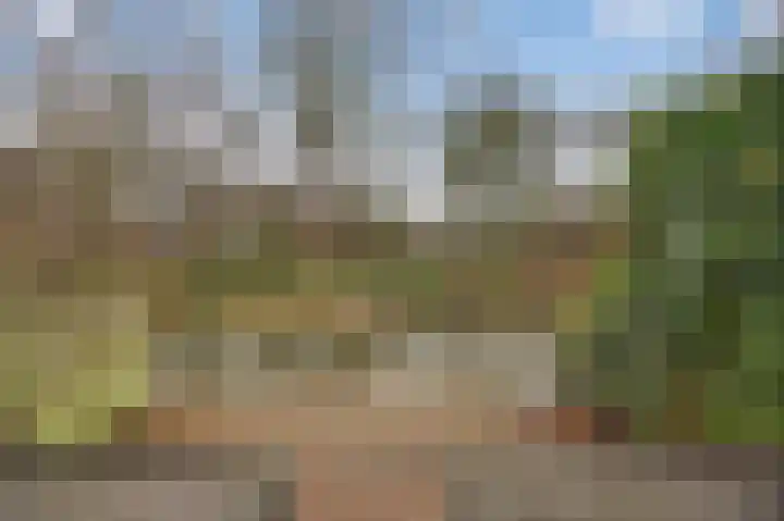 Boterbloem 55 Purmerend thumbnail 4