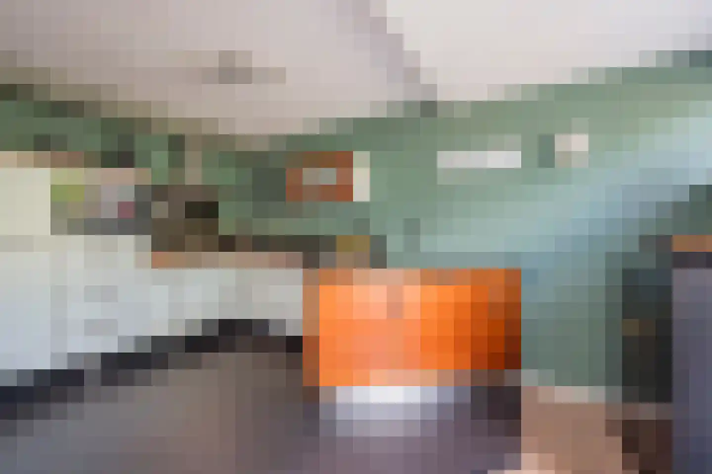 Boterbloem 6 Nijkerk thumbnail 10