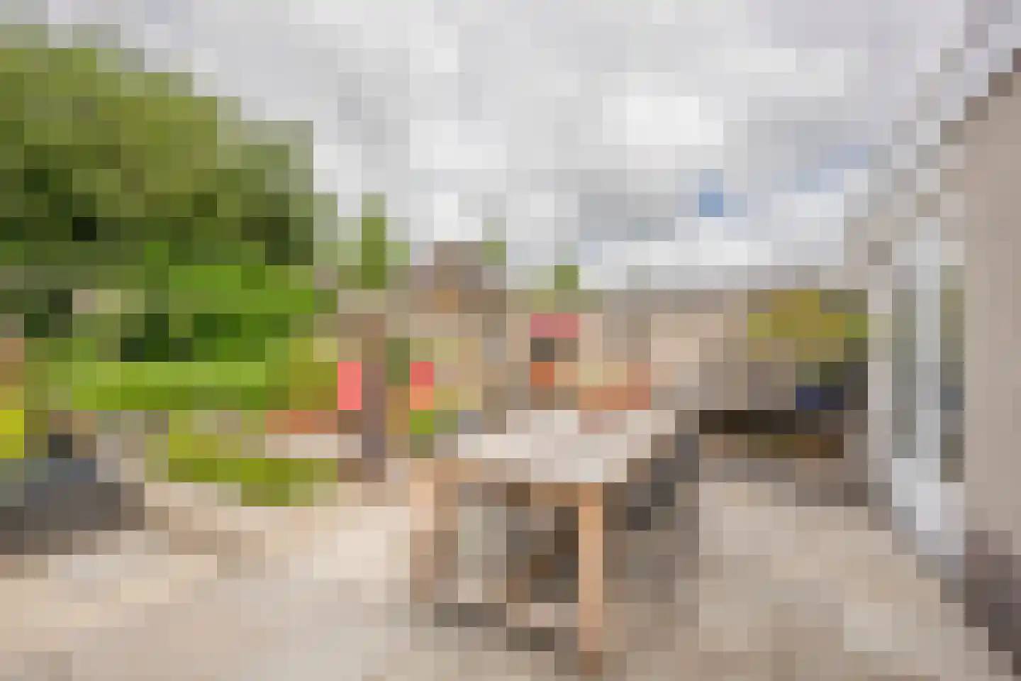 Boterbloem 6 Nijkerk thumbnail 25