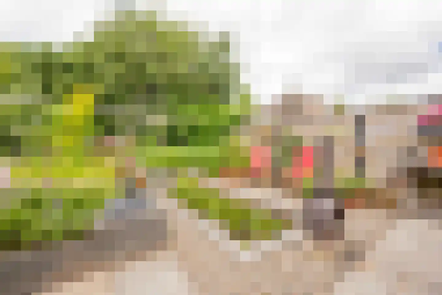Boterbloem 6 Nijkerk thumbnail 26