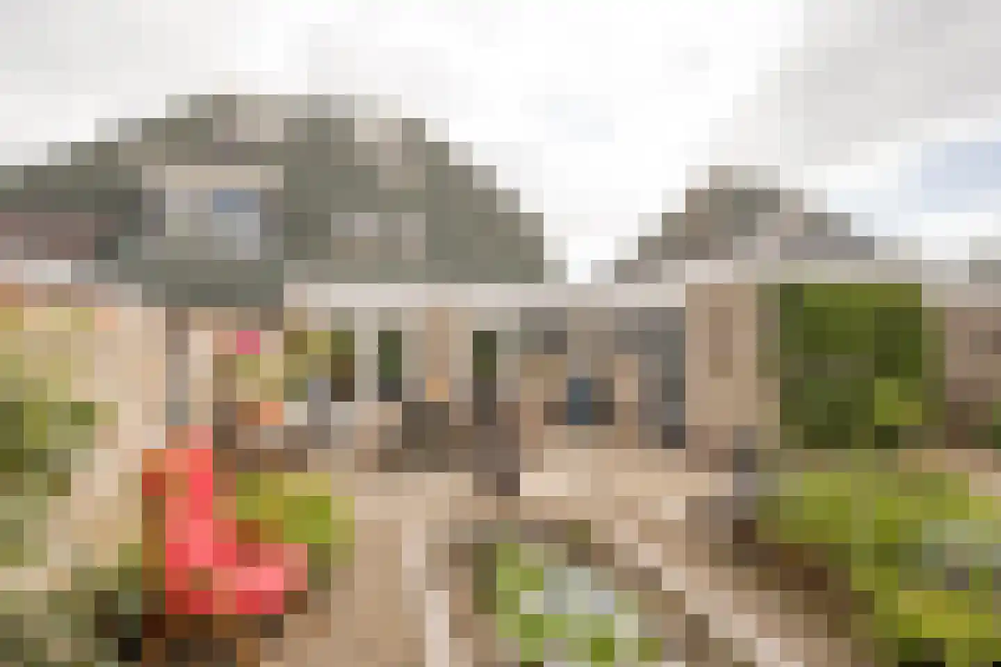 Boterbloem 6 Nijkerk thumbnail 27