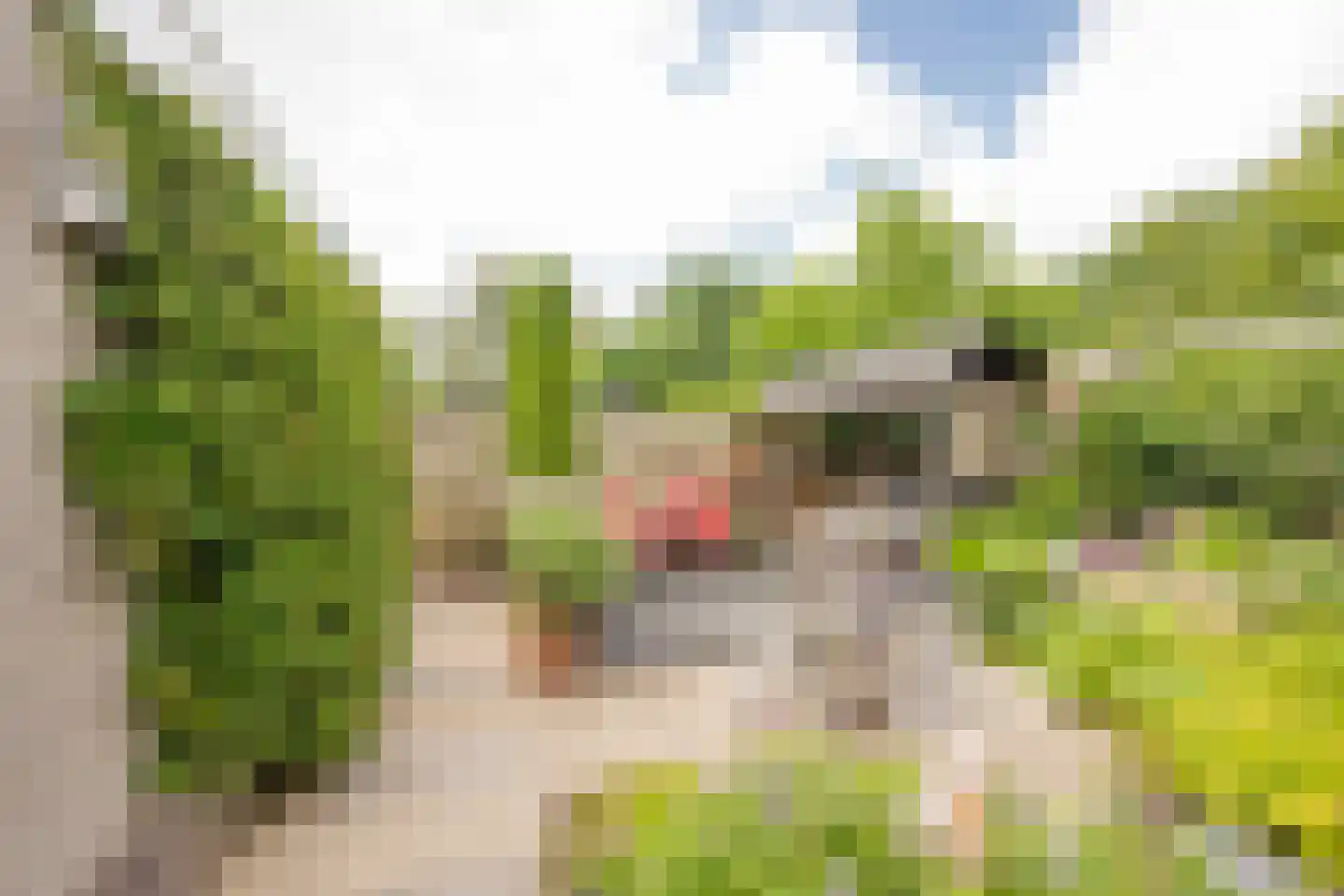 Boterbloem 6 Nijkerk thumbnail 28
