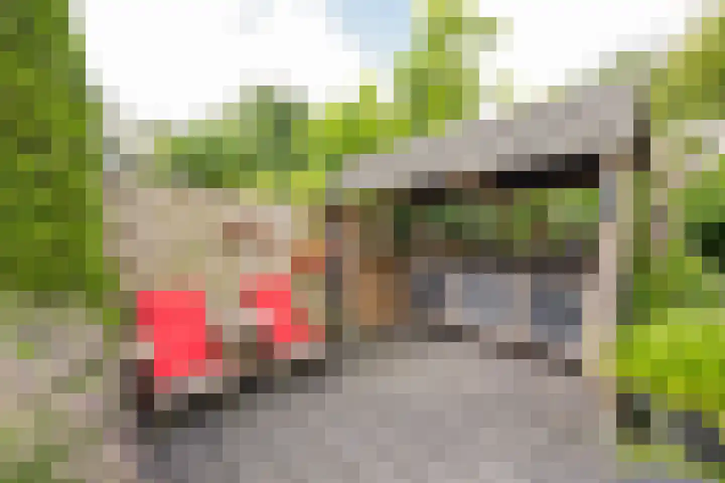 Boterbloem 6 Nijkerk thumbnail 29