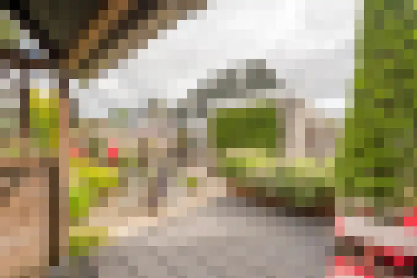 Boterbloem 6 Nijkerk thumbnail 30