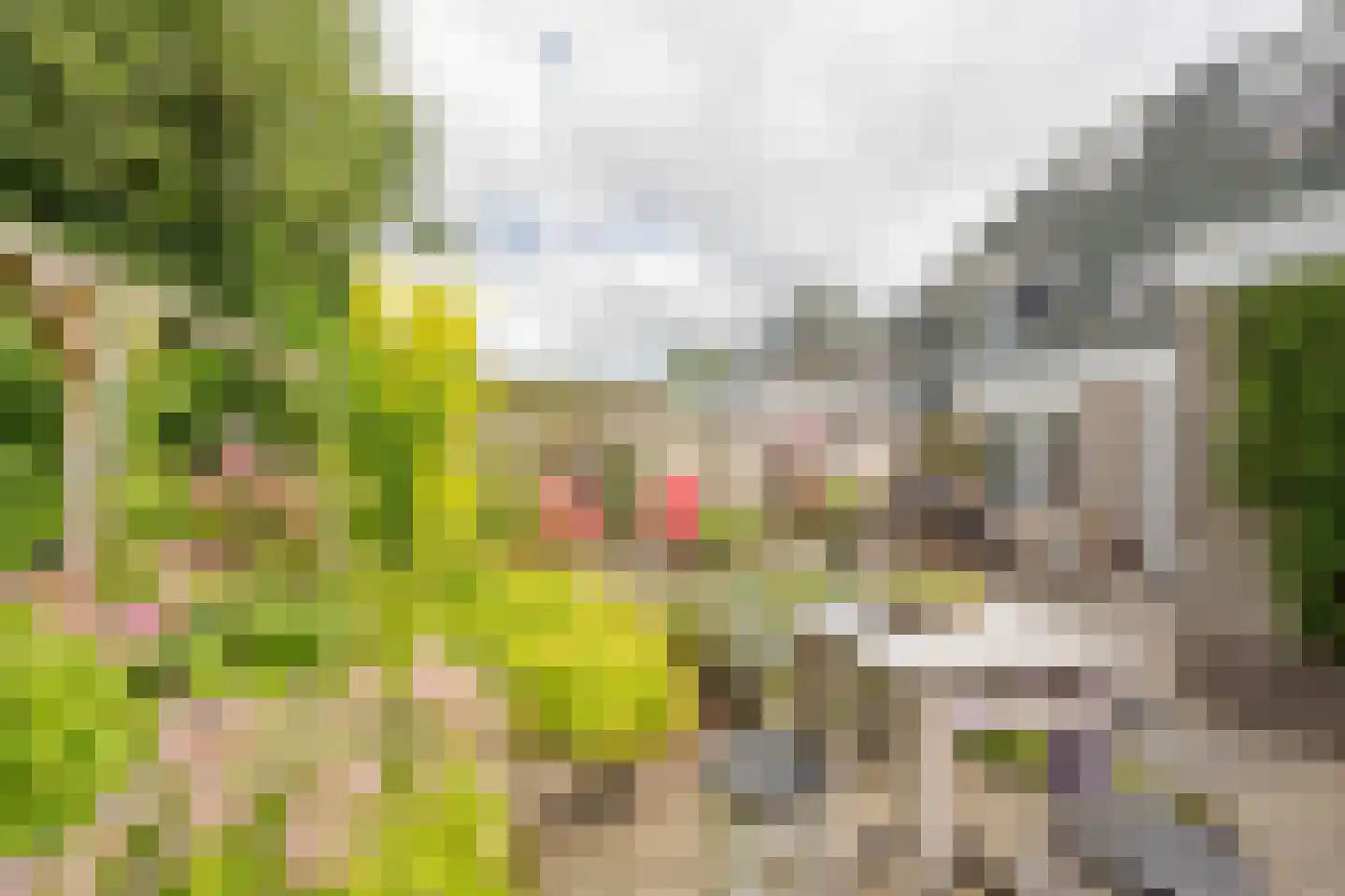 Boterbloem 6 Nijkerk thumbnail 31