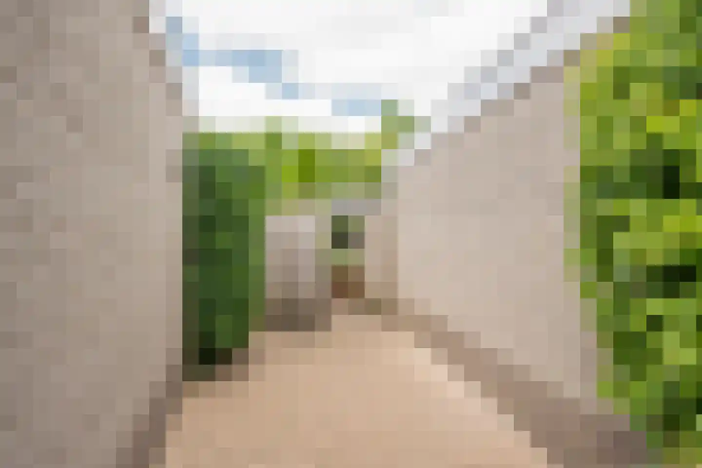 Boterbloem 6 Nijkerk thumbnail 32