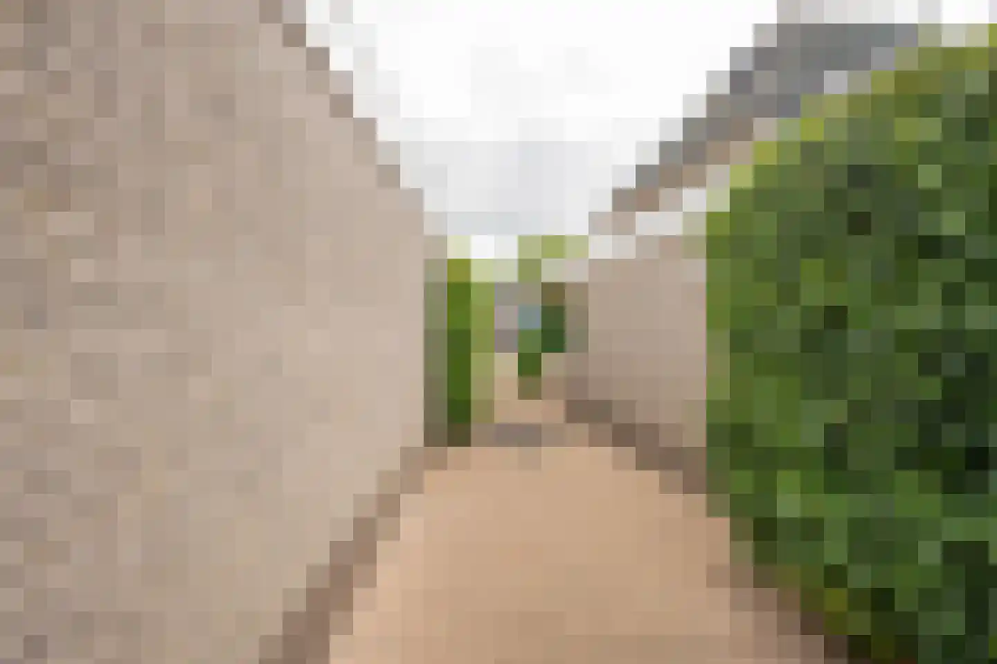 Boterbloem 6 Nijkerk thumbnail 33