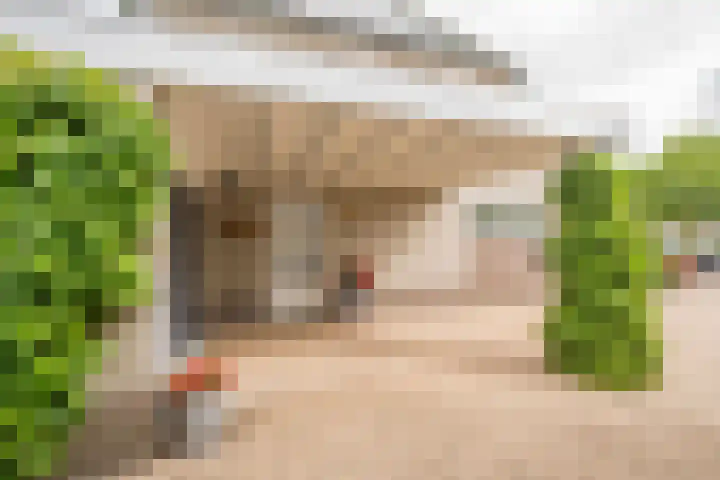 Boterbloem 6 Nijkerk thumbnail 34
