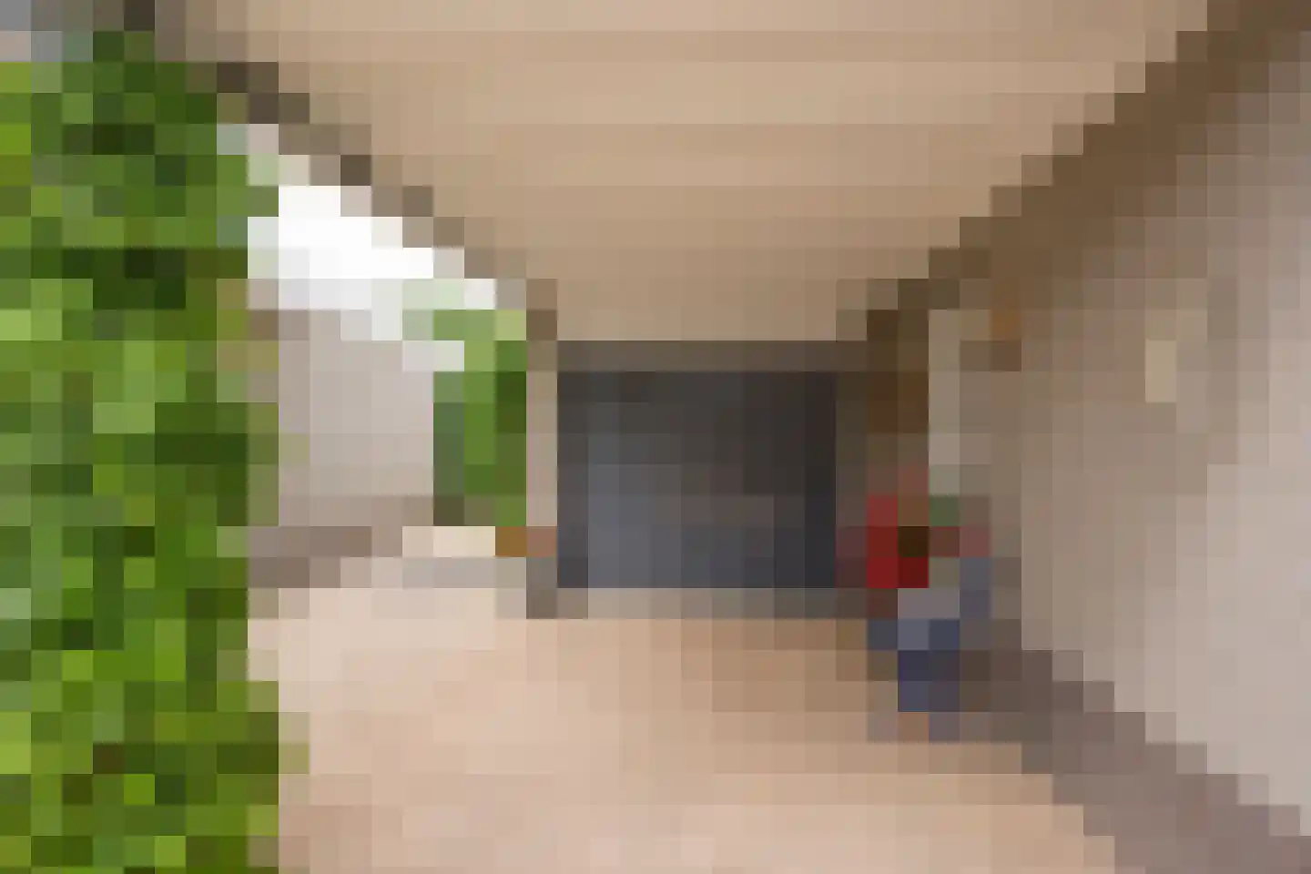 Boterbloem 6 Nijkerk thumbnail 35