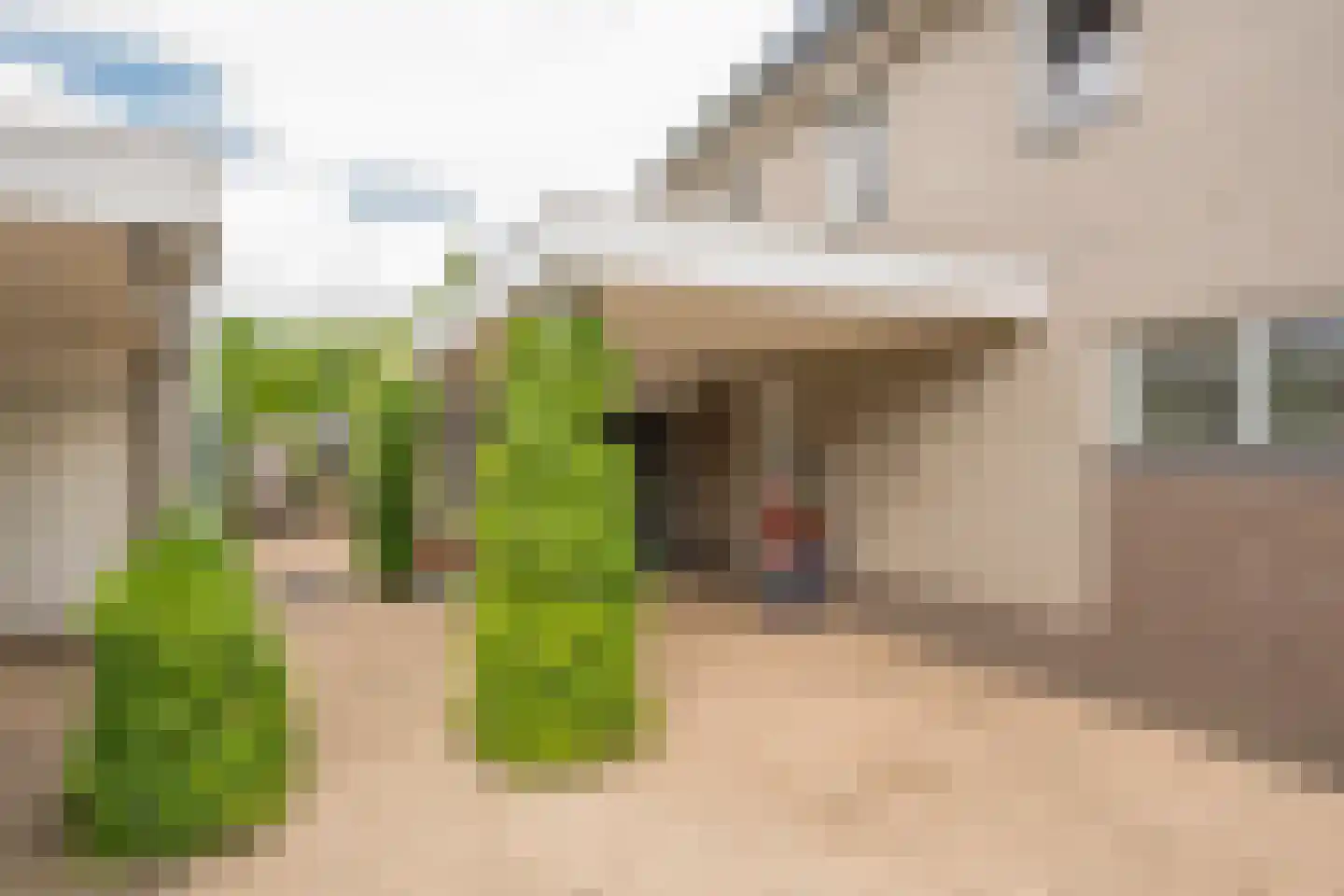 Boterbloem 6 Nijkerk thumbnail 37