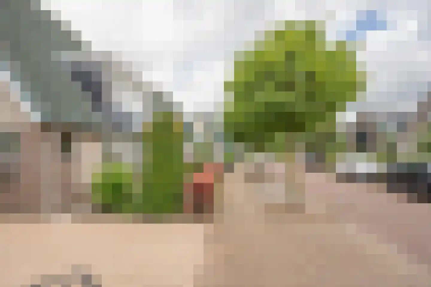 Boterbloem 6 Nijkerk thumbnail 39