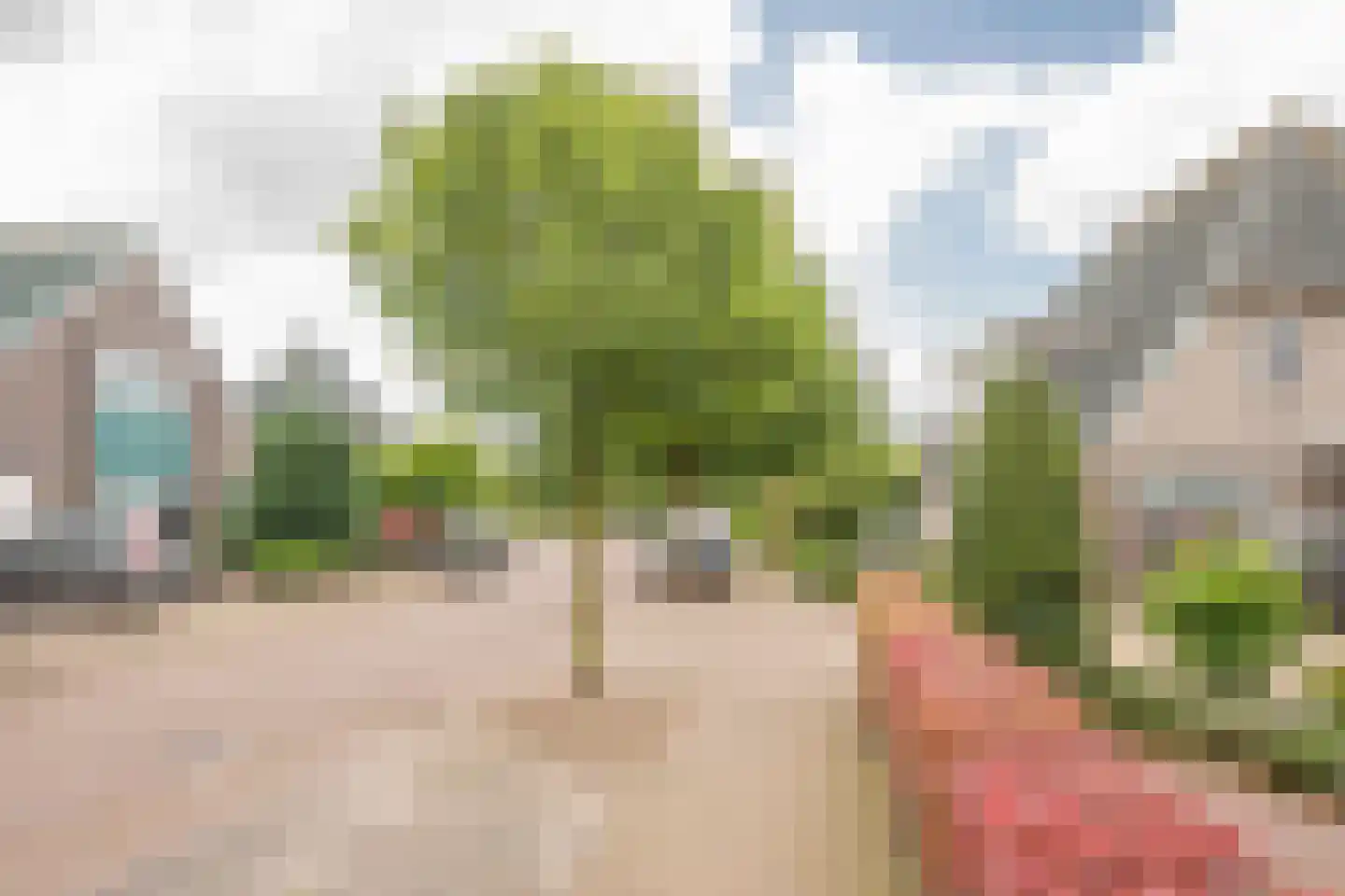 Boterbloem 6 Nijkerk thumbnail 40