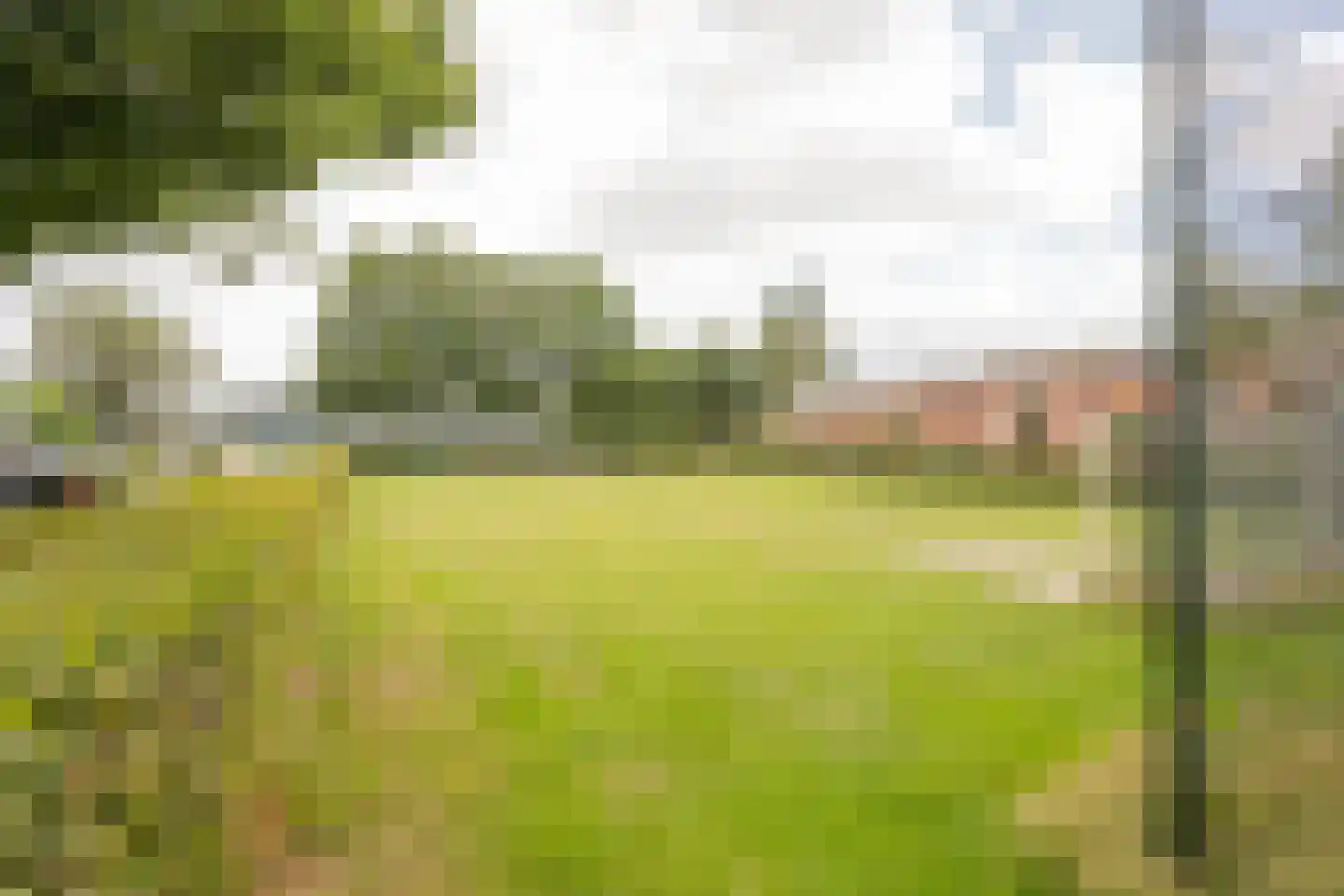Boterbloem 6 Nijkerk thumbnail 41