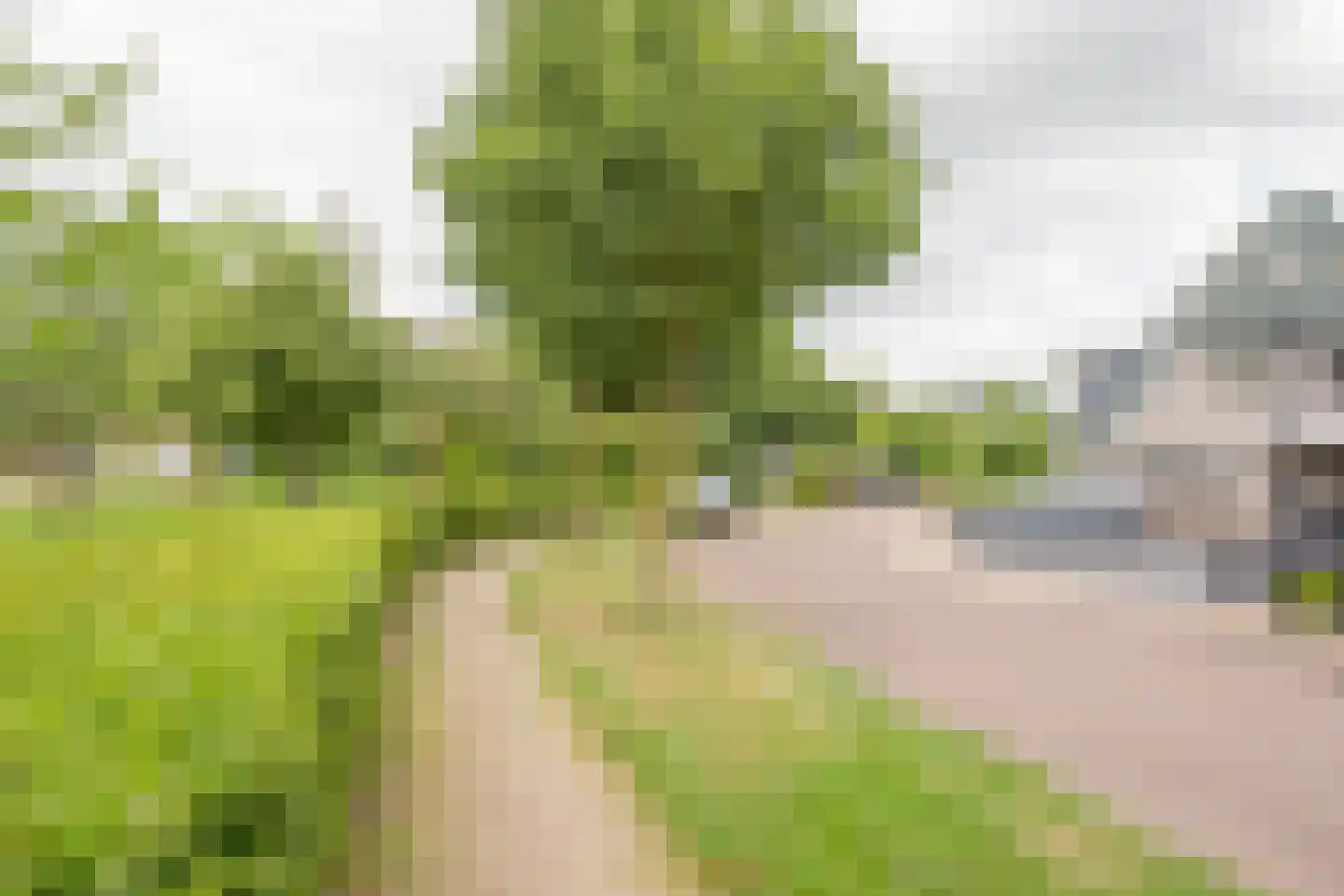 Boterbloem 6 Nijkerk thumbnail 42