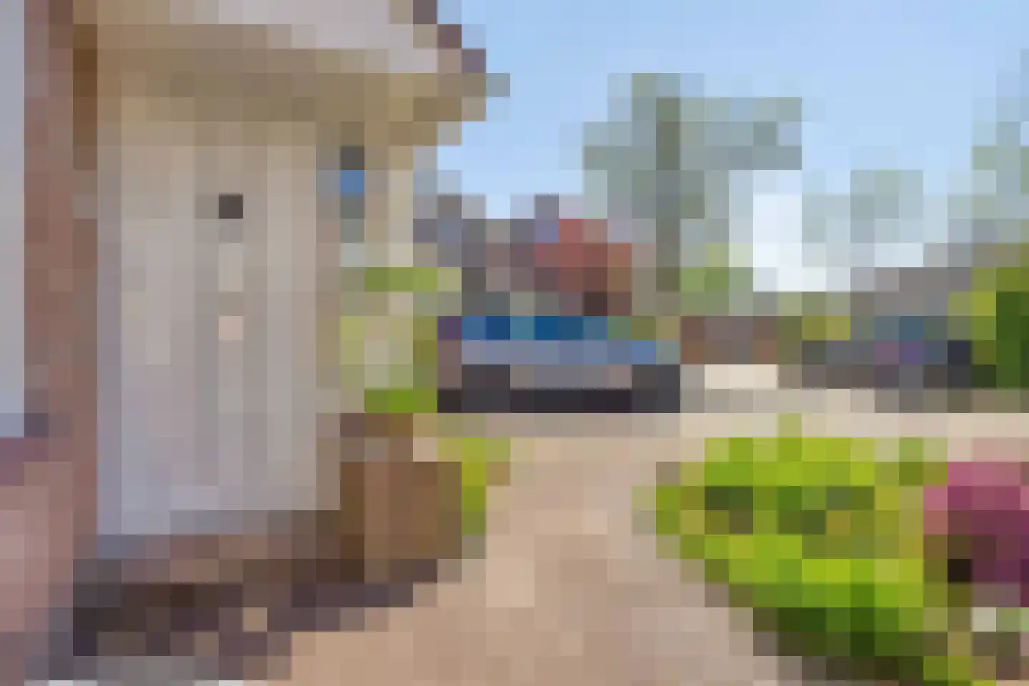 Boterbloem 60 Purmerend thumbnail 10