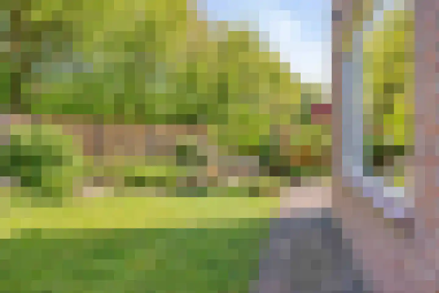 Boterbloem 60 Purmerend thumbnail 45