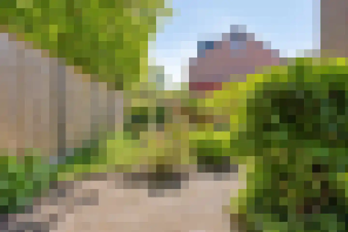Boterbloem 60 Purmerend thumbnail 48
