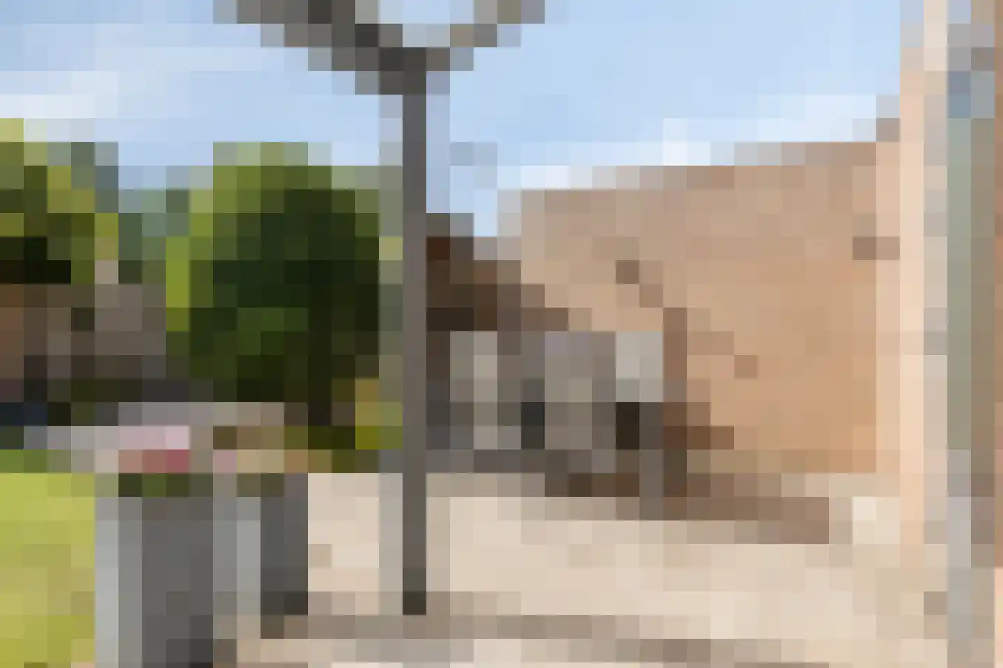 Boterbloem 72 Venray thumbnail 27