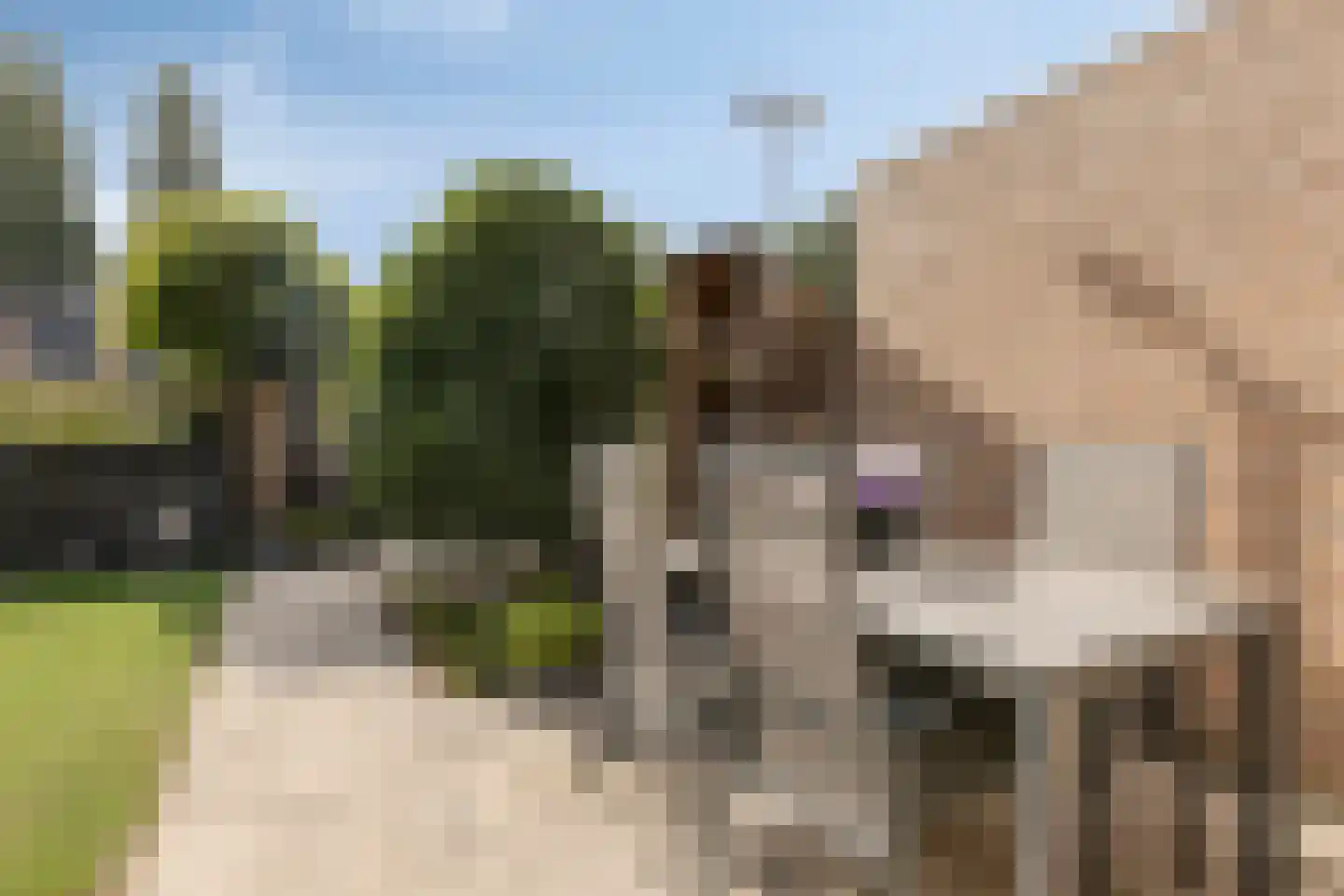 Boterbloem 72 Venray thumbnail 28