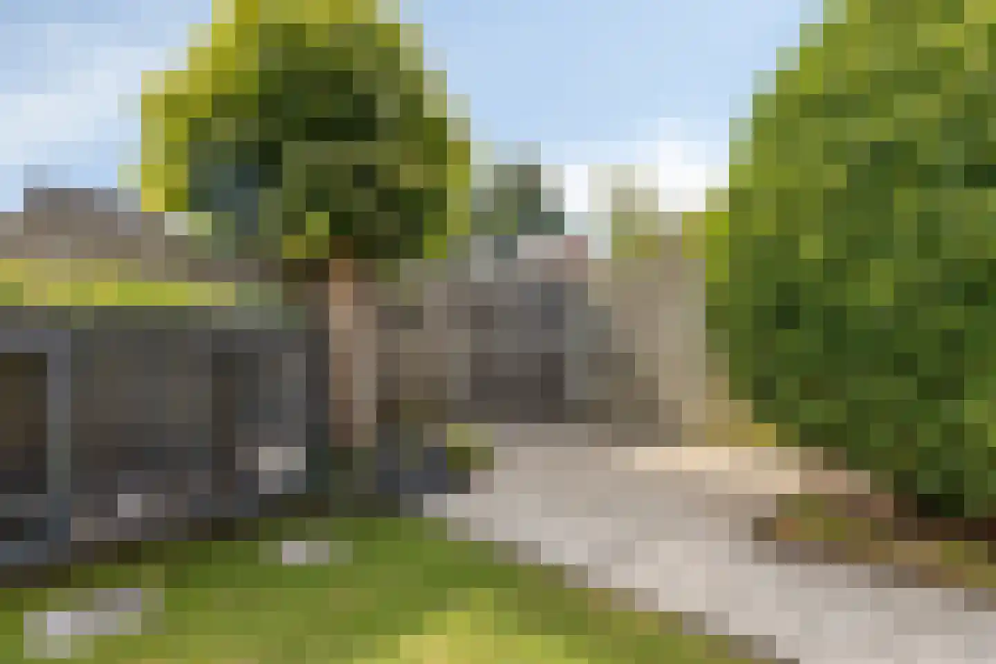 Boterbloem 72 Venray thumbnail 33