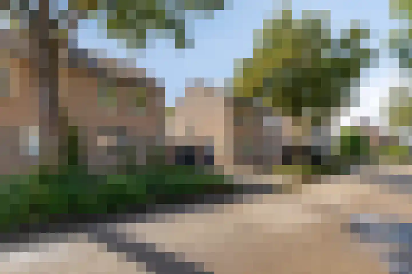 Boterbloem 72 Venray thumbnail 35