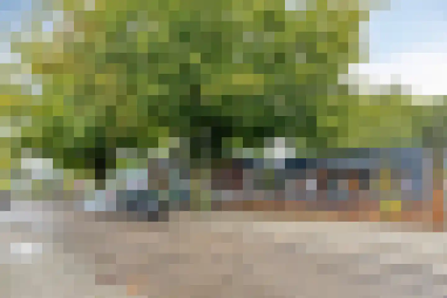 Boterbloem 72 Venray thumbnail 37