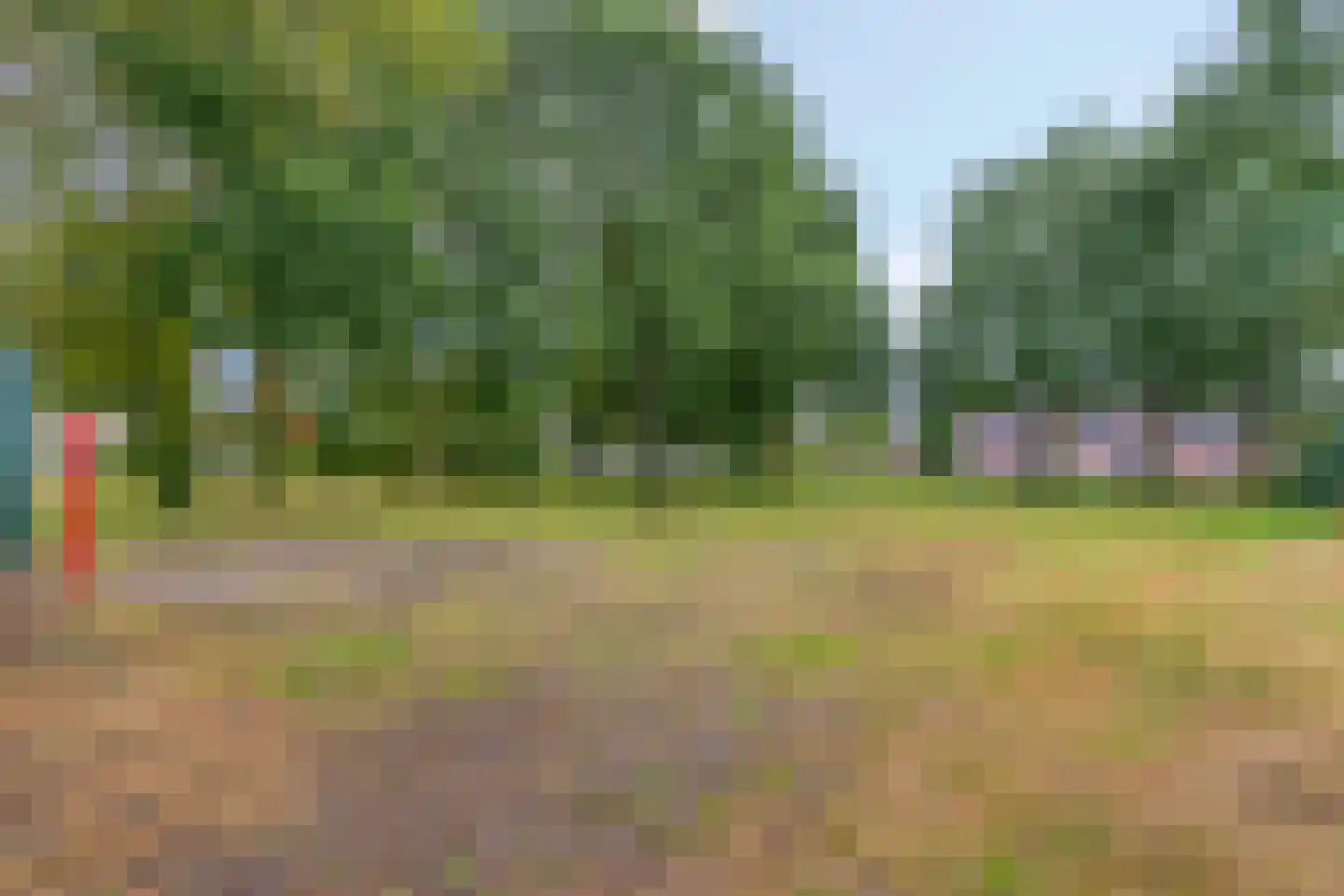 Boterbloem 72 Venray thumbnail 38