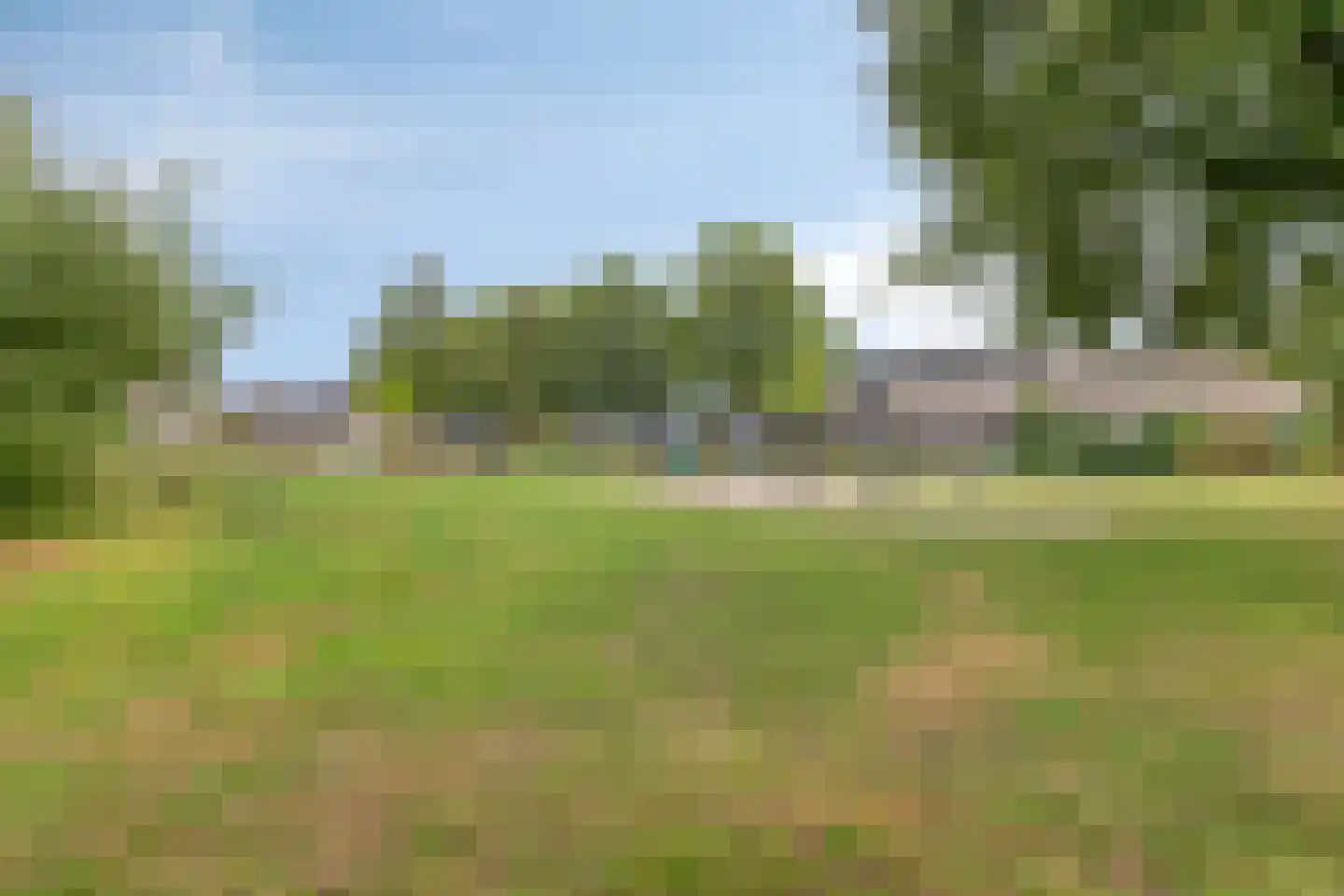 Boterbloem 72 Venray thumbnail 39