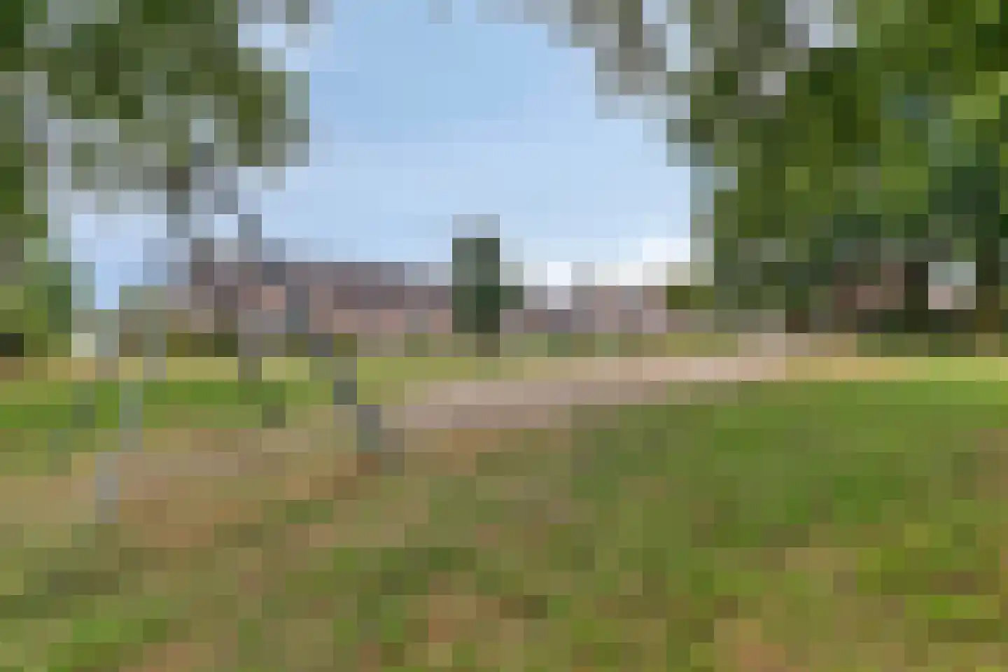 Boterbloem 72 Venray thumbnail 41