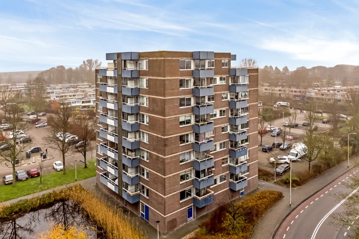 Boterbloem 74 in Uithoorn foto