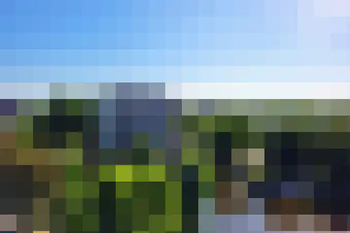Boterbloem 75 Uithoorn thumbnail 10