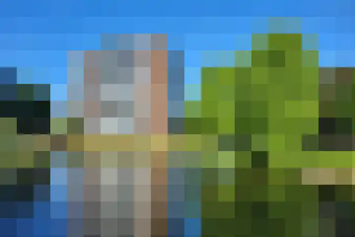 Boterbloem 75 Uithoorn thumbnail 15