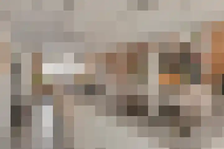 Boterbloem 75 Zwaag thumbnail 16