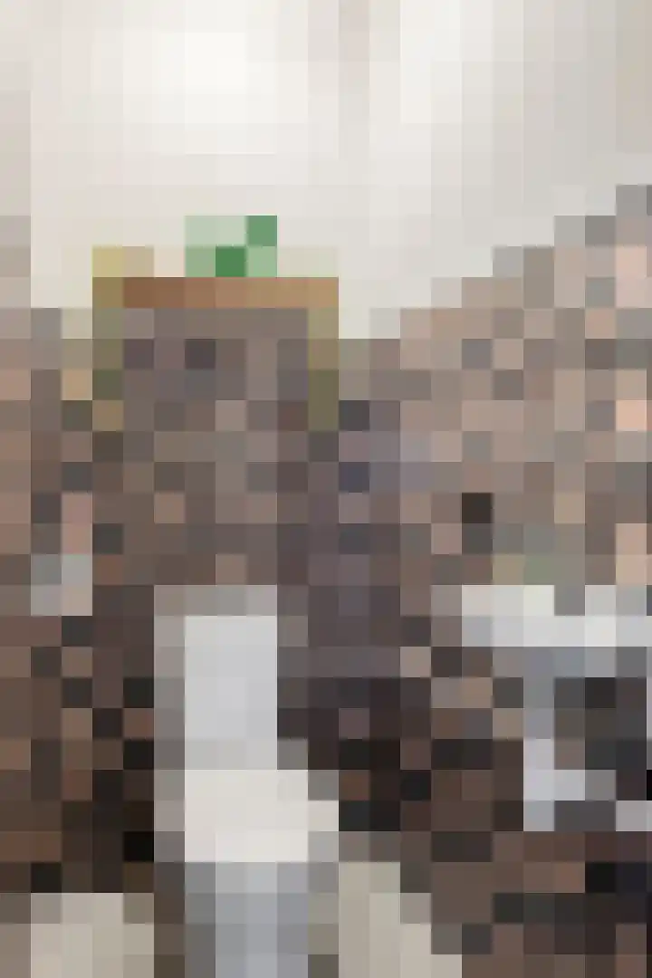 Boterbloem 75 Zwaag thumbnail 17