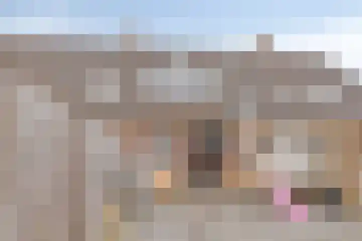 Boterbloem 75 Zwaag thumbnail 28