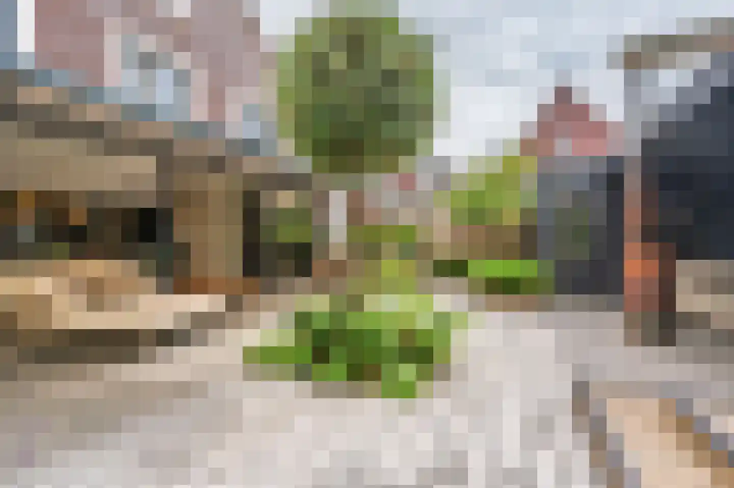 Boterbloem 77 Ouderkerk aan de Amstel thumbnail 47