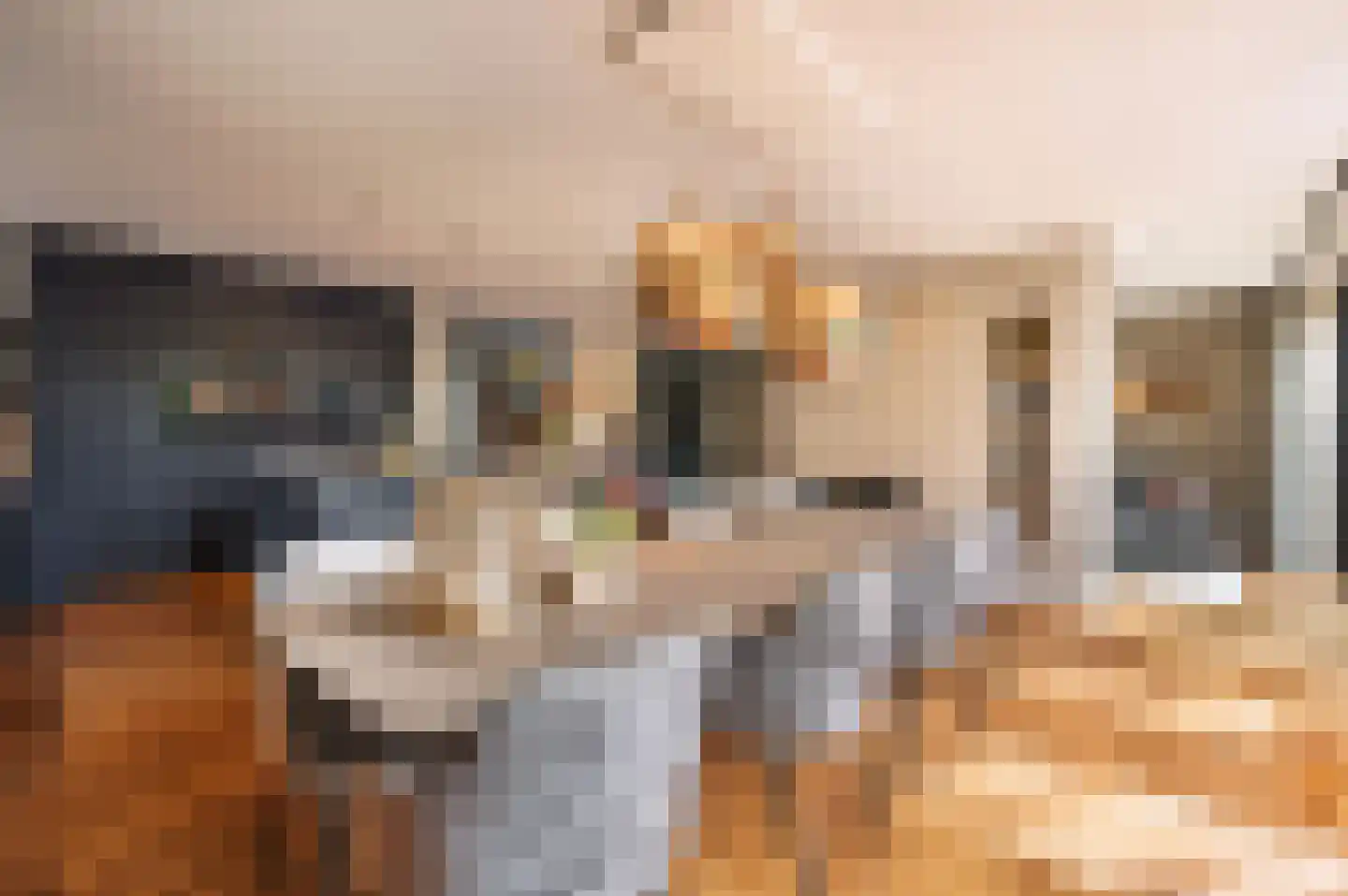Boterbloem 77 Ouderkerk aan de Amstel thumbnail 7
